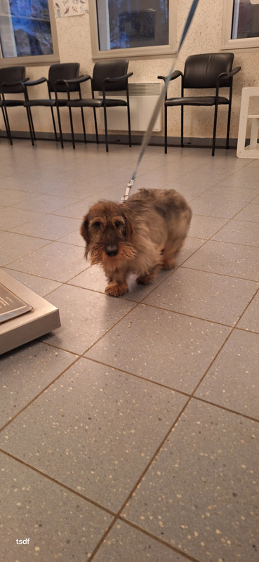 [Image: 20250117-174822.jpg]