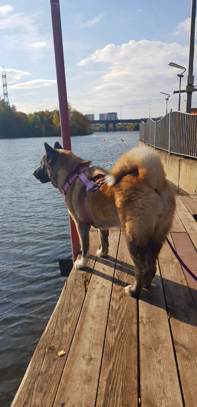 1AD15D9D-FBAD-407D-A6C3-3637AD79392E