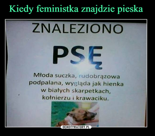 Zrzut ekranu 2025-10-17 214208