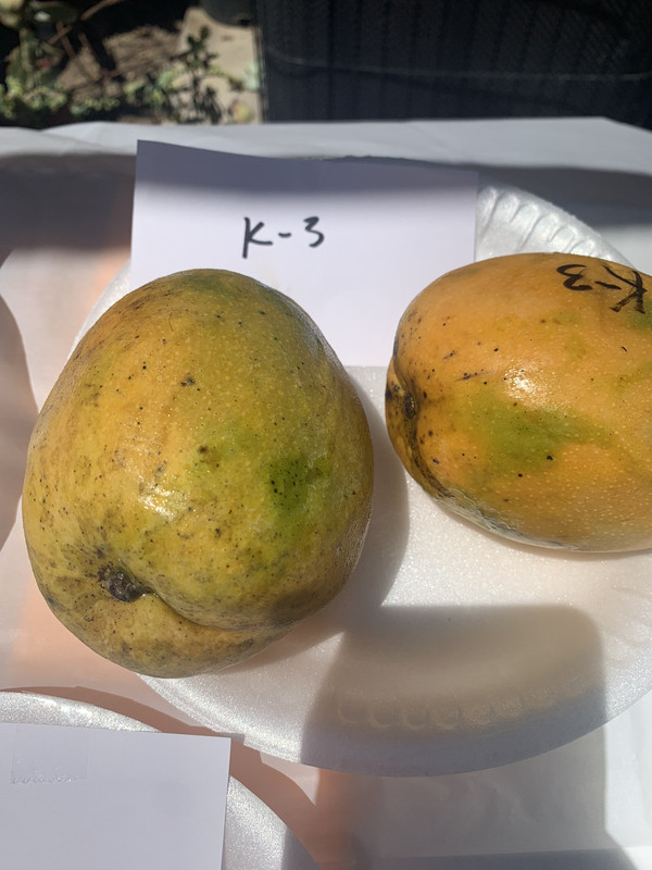 1A90563C-B3BC-437E-9538-3048EA2F2DB2