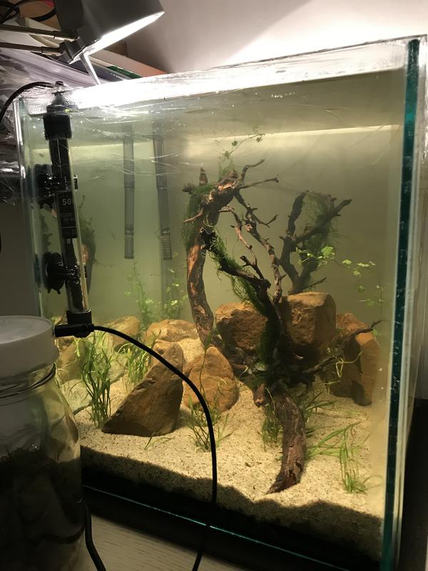 2CB99098-FDFA-4661-97F7-3D4538CEF2DC