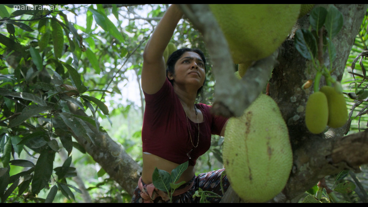 vlcsnap 2026 02 25 12h51m11s851