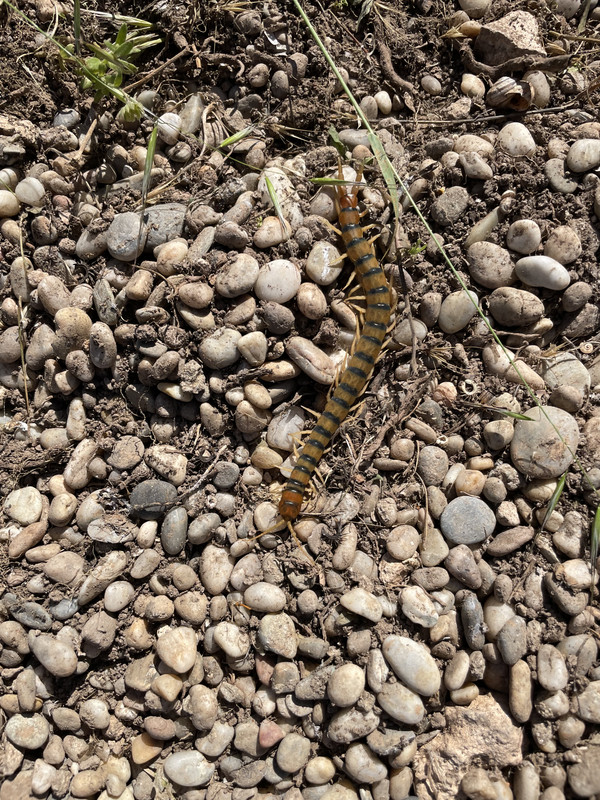 1374CF01-483C-4B8D-AD3C-2B8F2B463D99