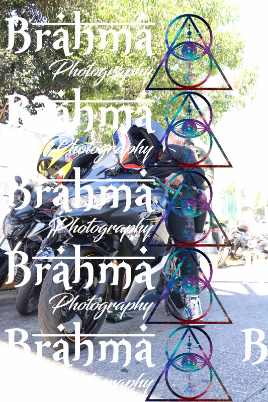 IMG 3038 — Postimages