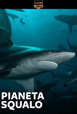 Pianeta Squalo - Stagione 1 (2023) [Completa] DLMux 1080p E-AC3 ITA