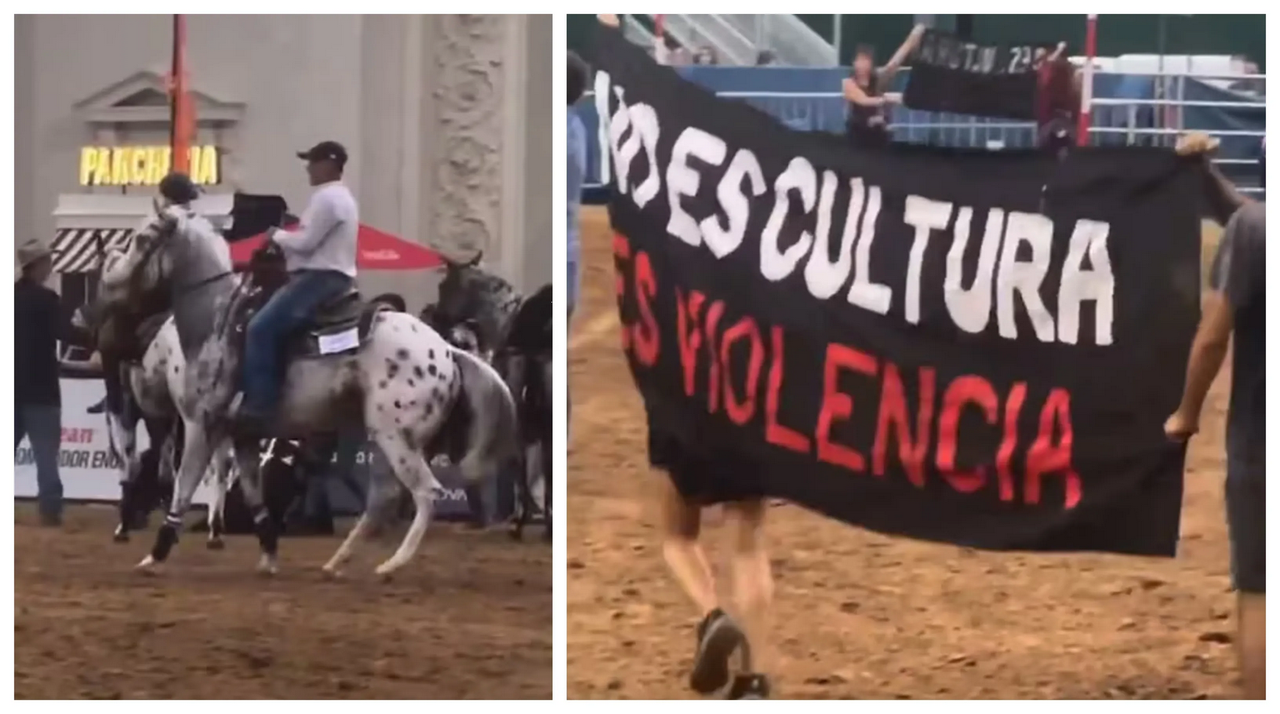 Veganos protestan en exposición equina y jinetes los retiran con caballos