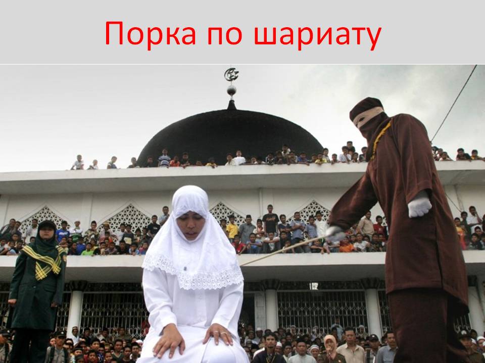 судит по шариату