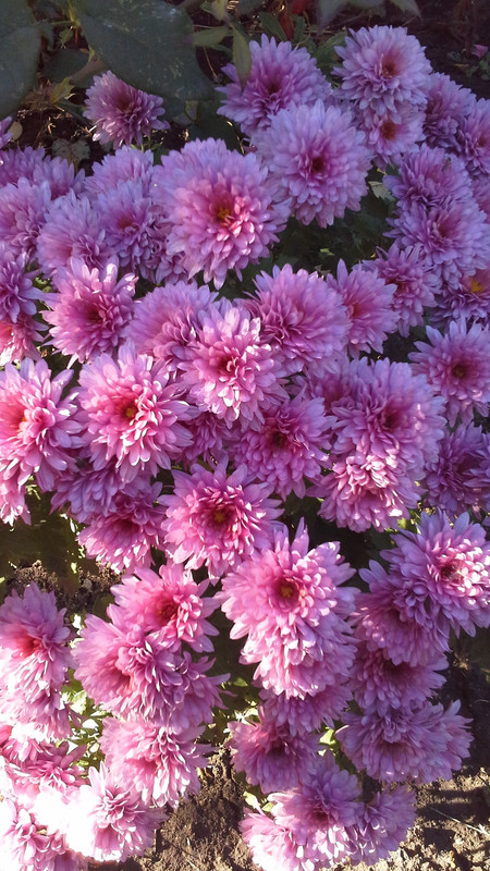 20181101_133407
