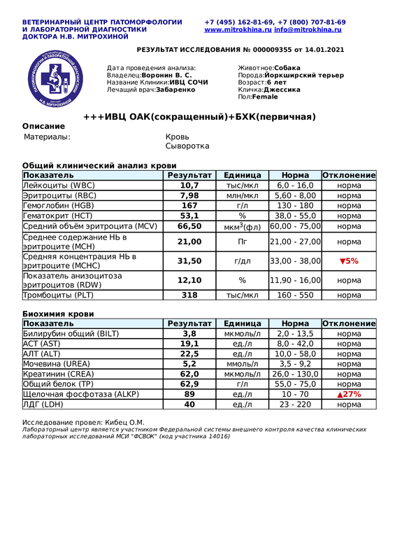 анализы 2  от 14.01.2021 ИВЦ ОАК(сокращенный) БХК(первичная) (Диагностическое исследование 000009355
