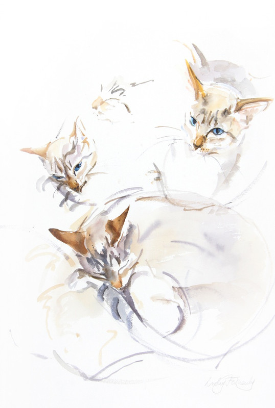 STUDIES-OF-LOTUS-FLOWER-II-1-lf363(1)