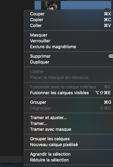 Capture d’écran 2020-03-02 à 10.47.41