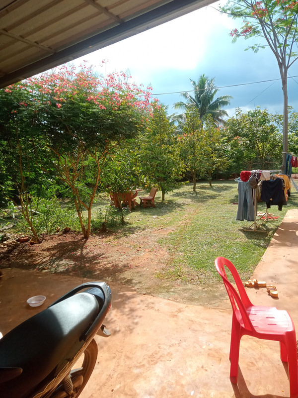 IMG20260612145014