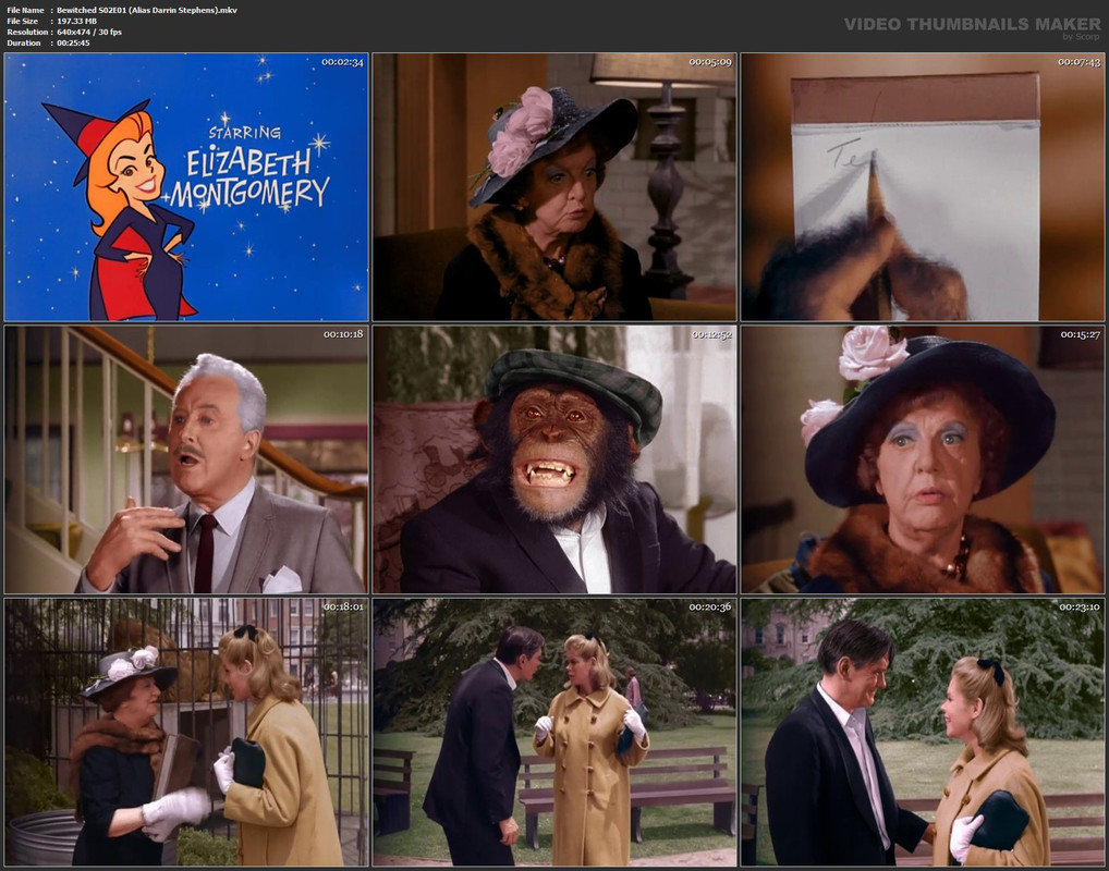 Bewitched S02E01 (Alias Darrin Stephens).mkv