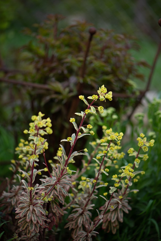 IMG-b6733eb4a07b96e54317426249bc4087-V