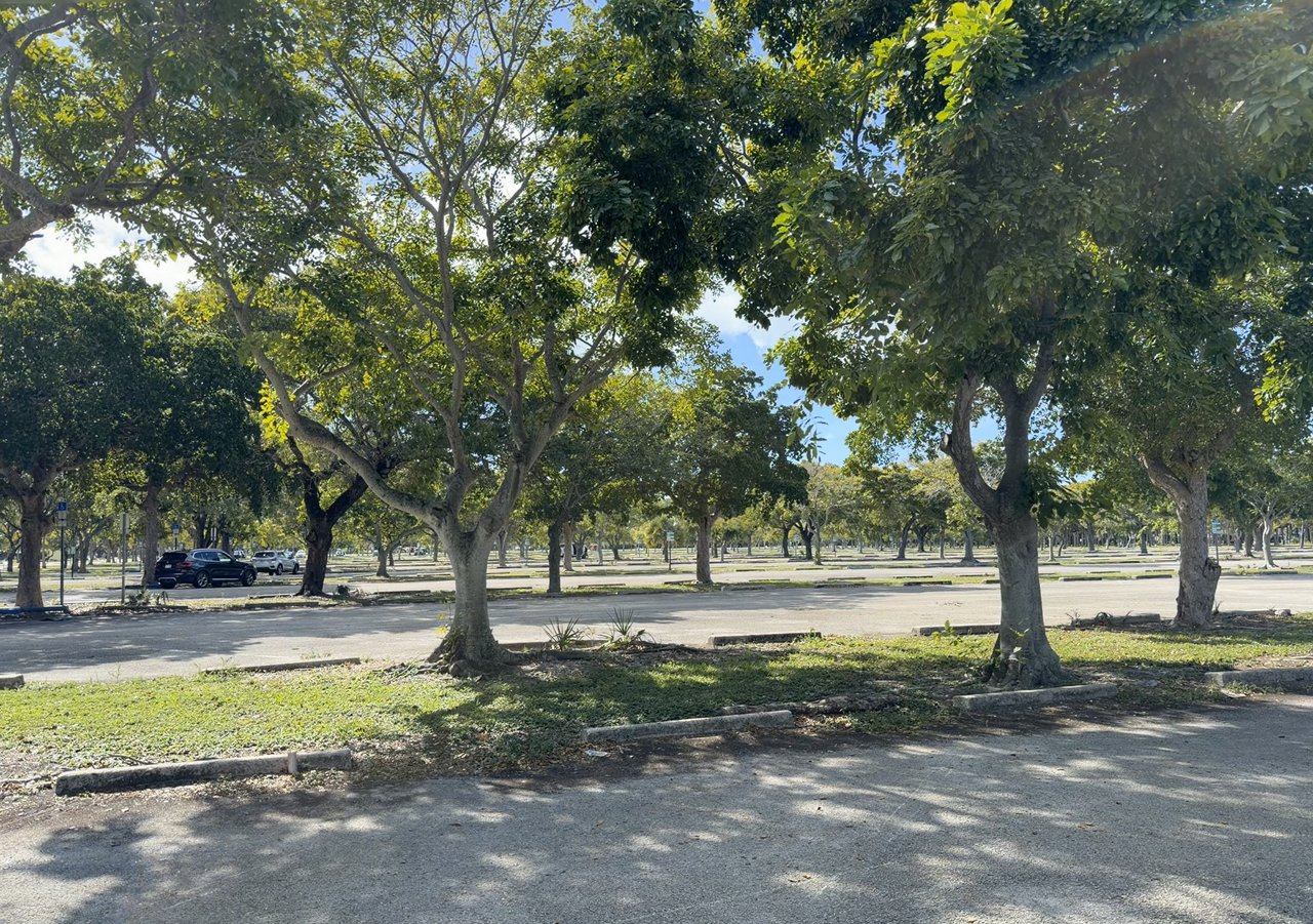 [Image: Crandon-Beach-On-Key-Biscayne8.png]