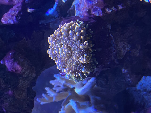 A2D5FED0-B8E6-4F14-9864-4B63912B3CE9