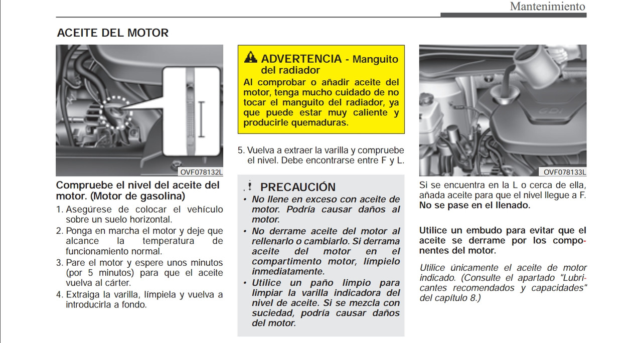 Nivel aceite motor Gasolina