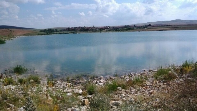 2023-04-02 kosmat photo 3100489433_Fh8K_V5vaxK2a2VOn3zBlMfLut0rli57wwWLi8pr_ts