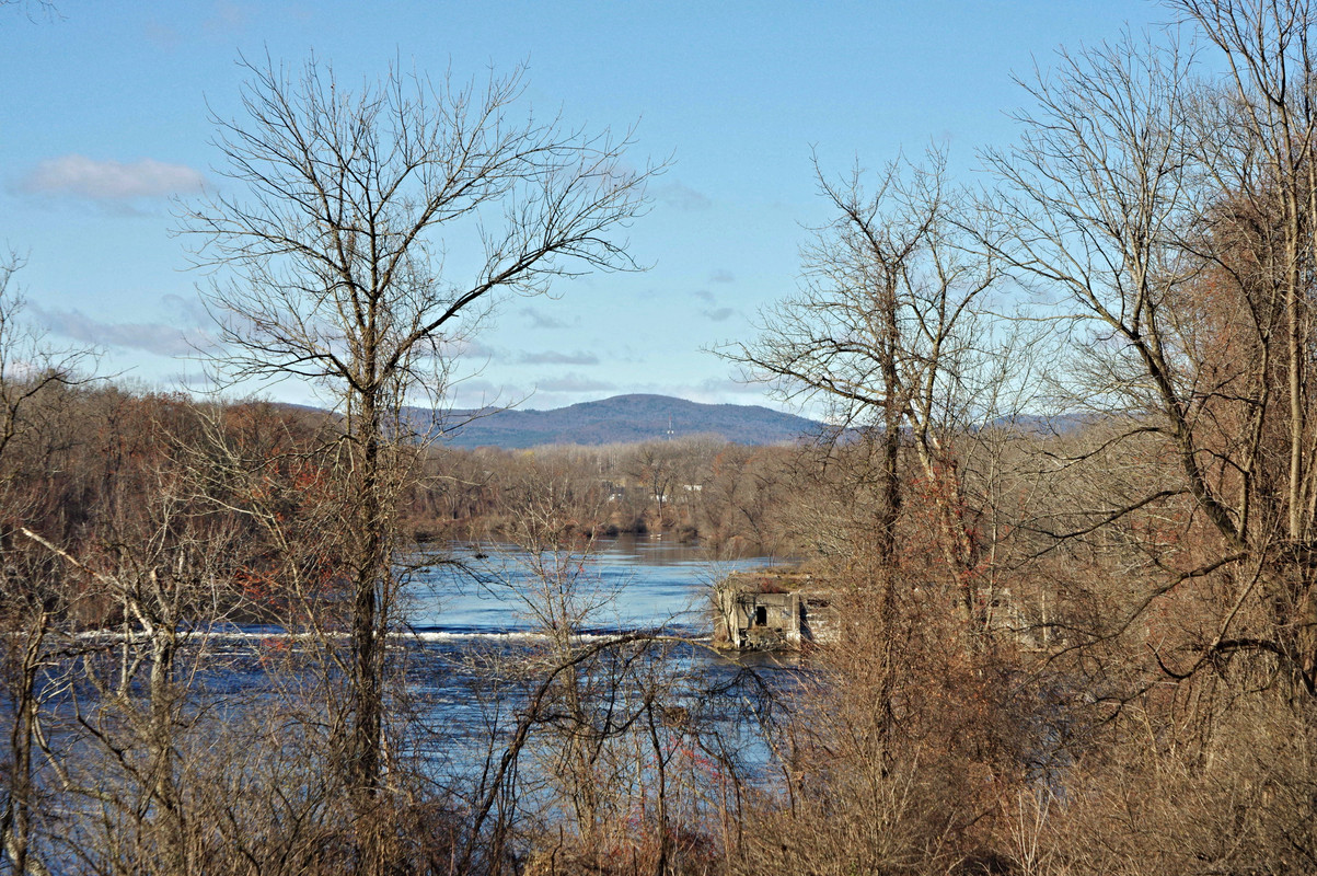 IMGP3353