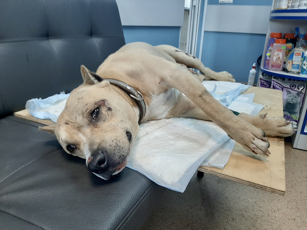 EEA56756-51C4-455F-8375-0871F1F79662