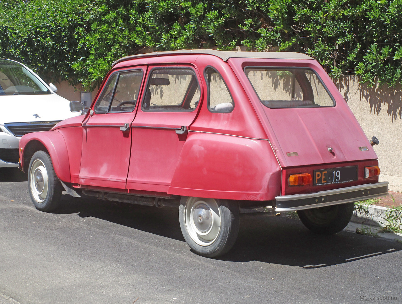 IMG-8720.jpg