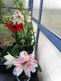IMG_20190504_112007