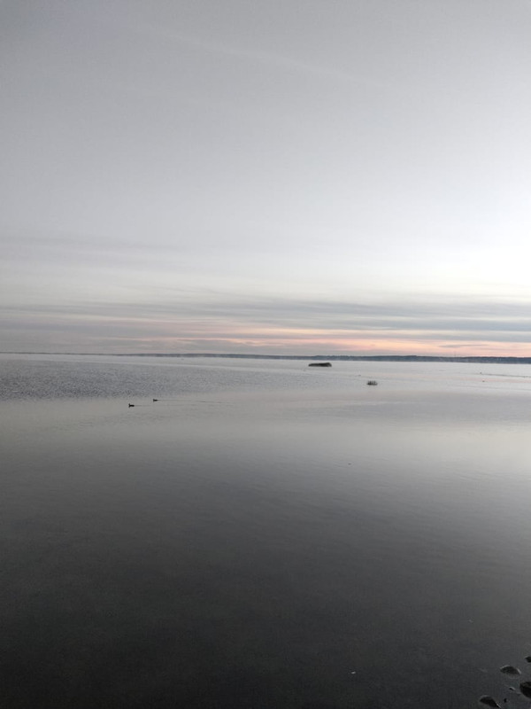 F710003C-6083-4C2A-8C75-2988669E3759