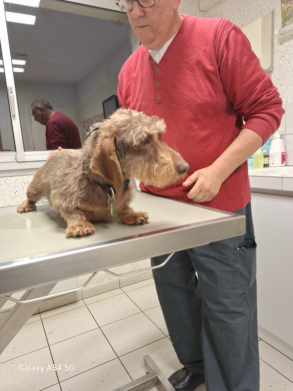 [Image: 20241106-175926-0.jpg]