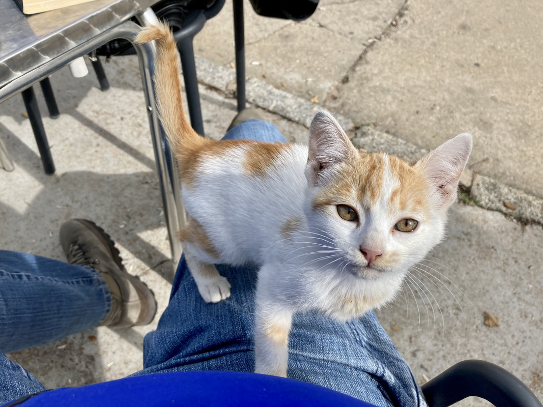 13442254-2309-43AE-A113-E6EC45B95659