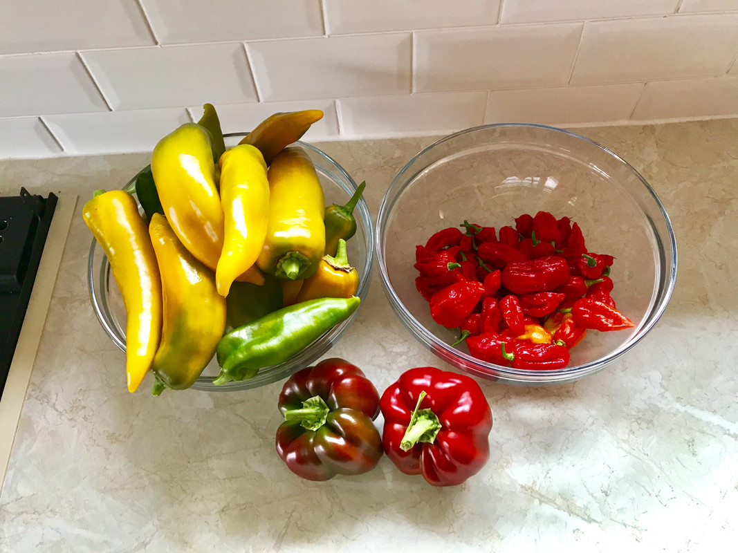 078BA1F0-15EC-41CB-B608-292D74FF1F54