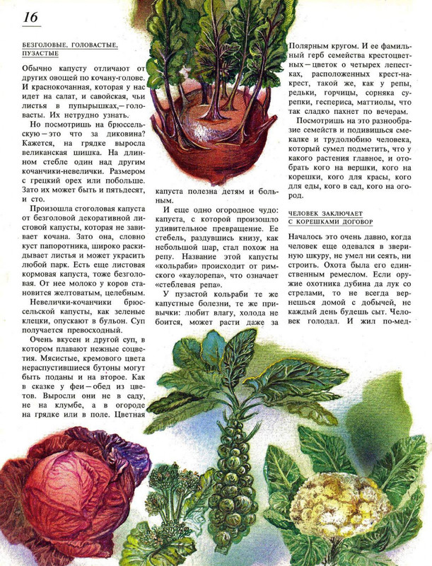 1994-page-0021