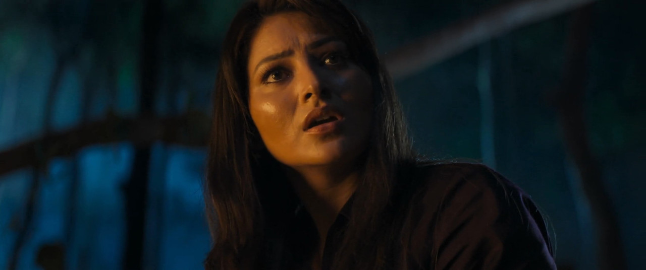Daaku Maharaaj 2025 WebRip [Hindi + Tamil + Telugu + Malayalam + Kannada] 480p, 720p, 1080p ESub Screenshot