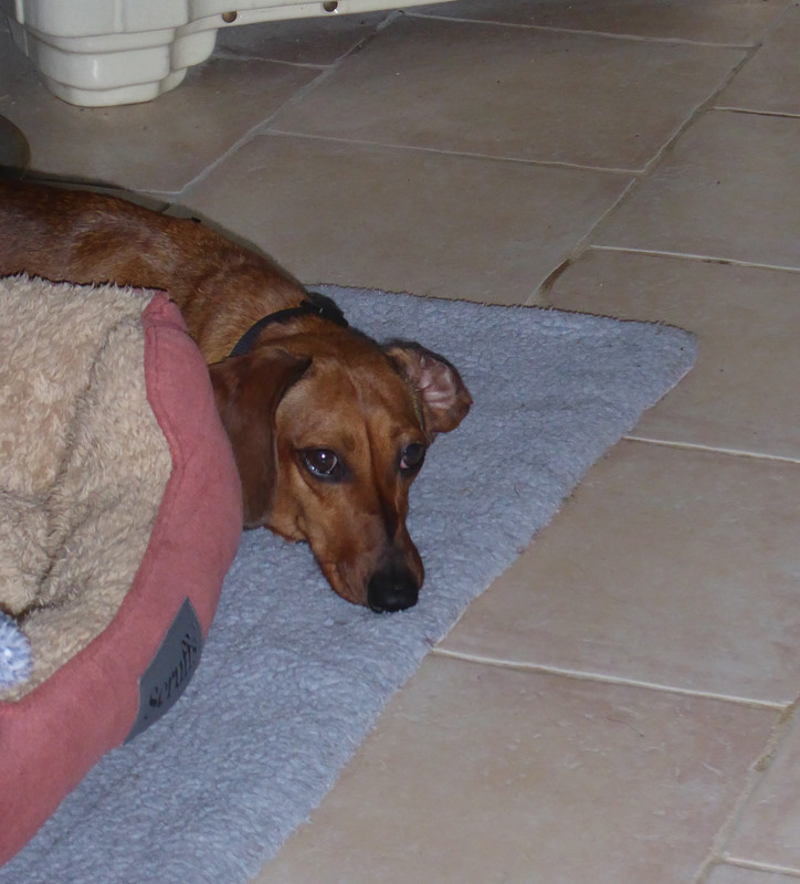 [Image: P1040172.jpg]