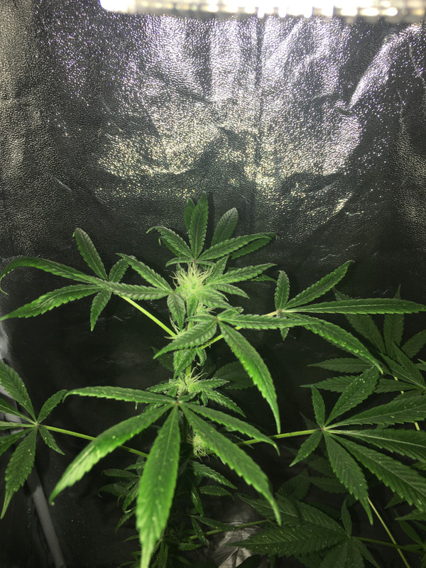 7933D6D1-06C2-4CEC-9D14-480E047A6EB8