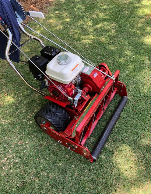 20 in. Tru Cut reel mower (reduced to $250)