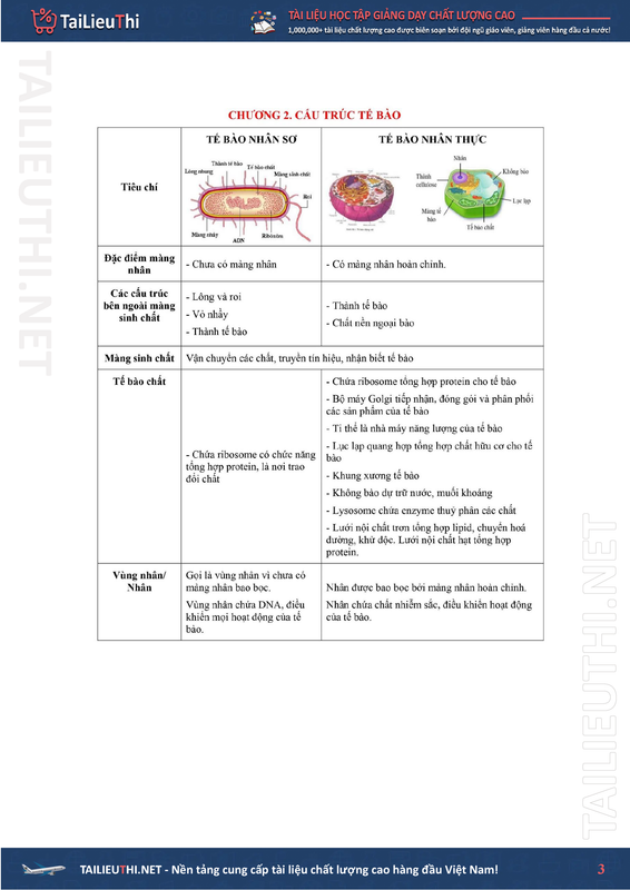 Trang 3 Đề cương Sinh học lớp 10