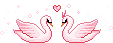Swan pixel