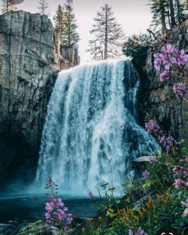 Screenshot_20240324_215339_Pinterest