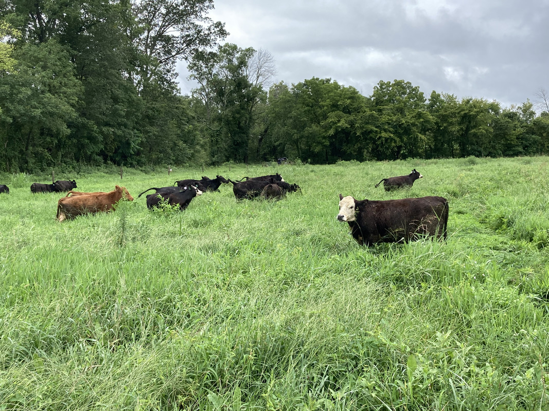 D553FD58-E72F-43FF-8A58-89355CCD7B42