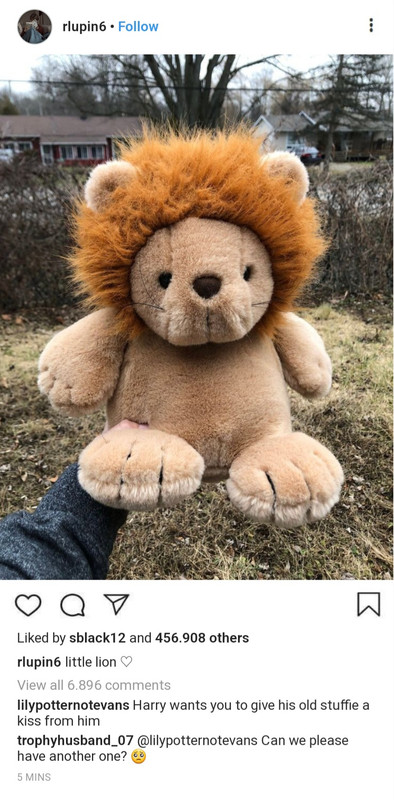 Little Lion Plushy