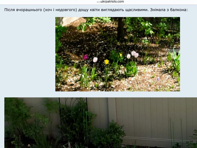 [Image: IMG-4081.jpg]