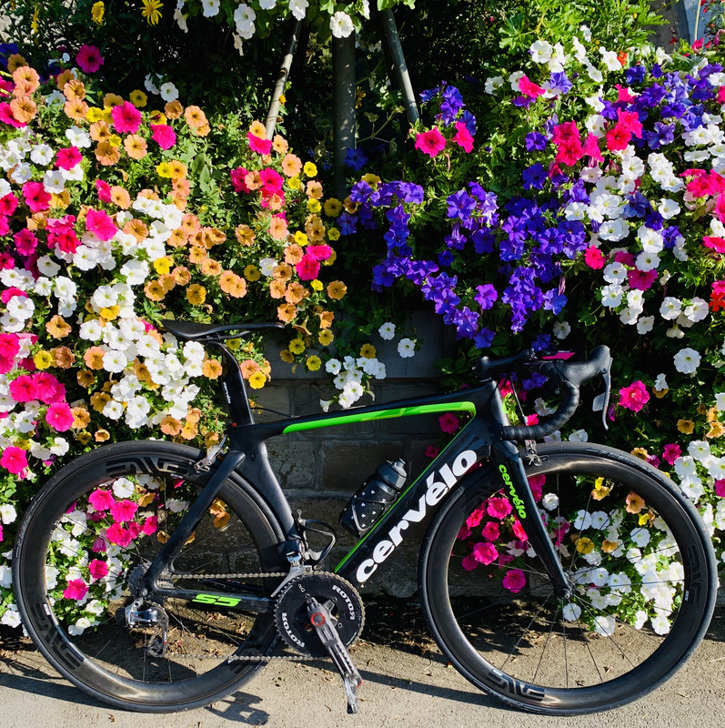 142D6D50-9D07-4567-A5F5-3C10B77E144C_1_201_a