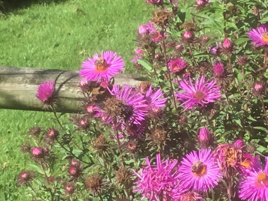 A2D7783C-6210-44E4-93ED-3127B564BF2B