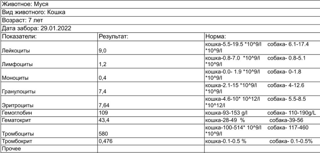 Муся29_01_22ОАК