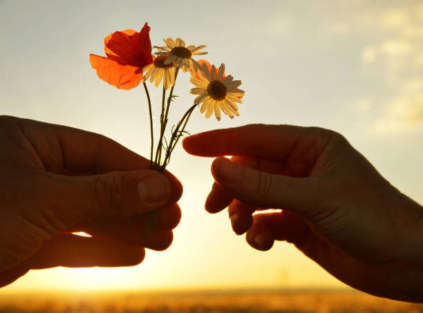 istockphoto-823307824-612x612.jpg