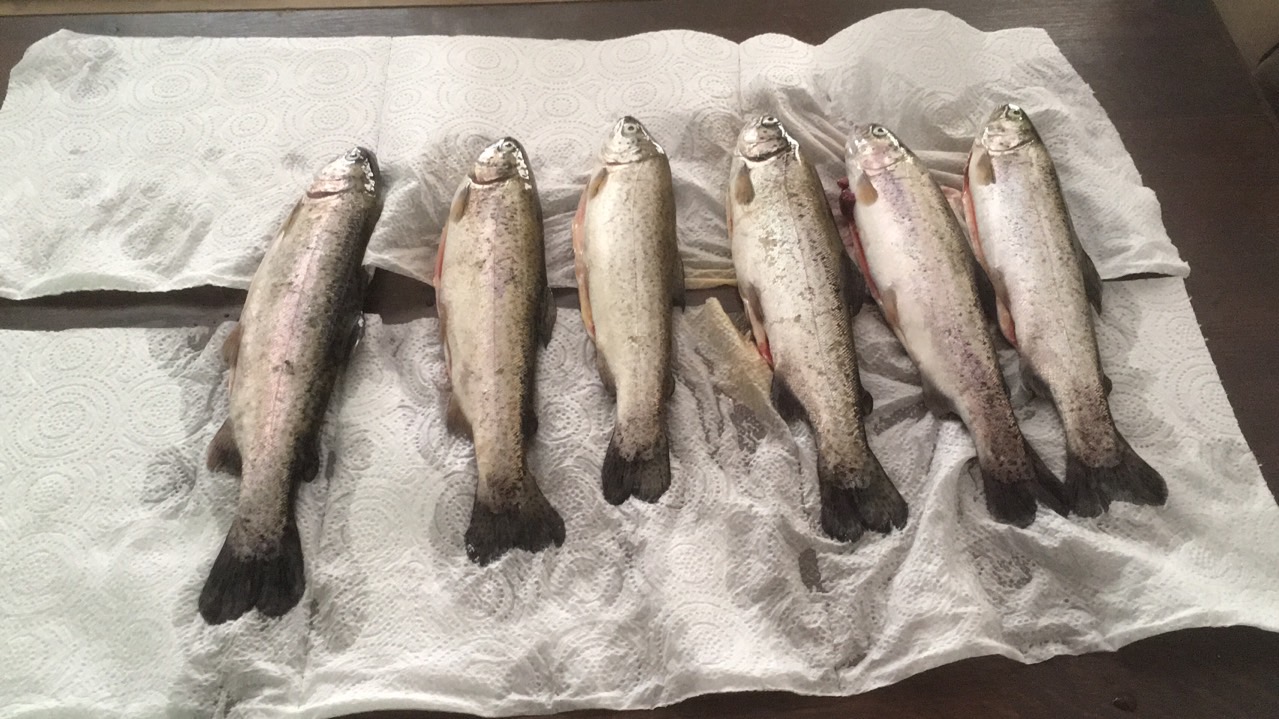 D4E1A4D0-E44F-43B1-A1ED-E683CB7B9A2E