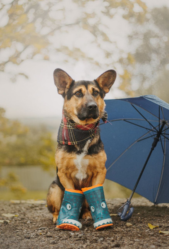 photo_2023-03-17_18-07-33