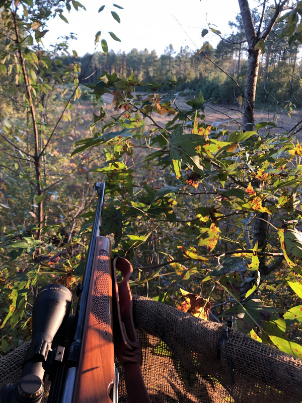 Winchester-M88-243-WIN-in-Edgecombe-County.jpg