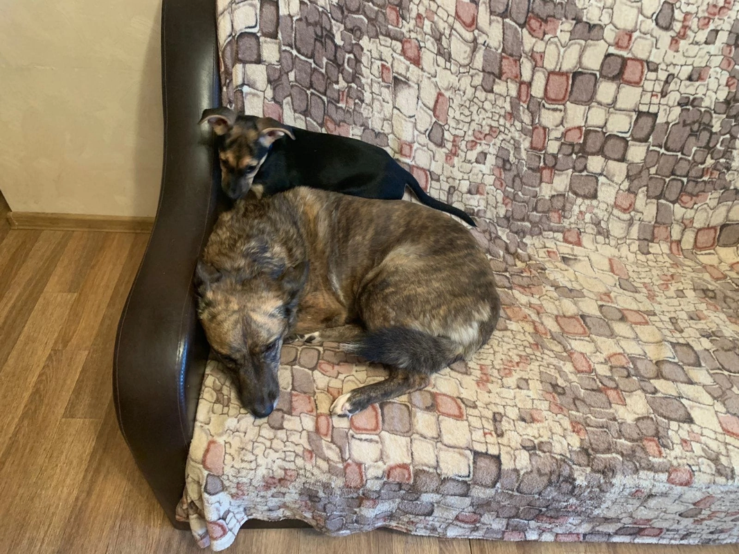 35E3C49B-7F03-4F7B-BAF4-FCD7515CF5DD