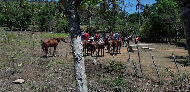 DIA 4 - EXCURSION A SAMANA, CASCADA DEL LIMON E ISLA BACARDI - Hotel Grand Sirenis Punta Cana + Samana + Cortecito (49)